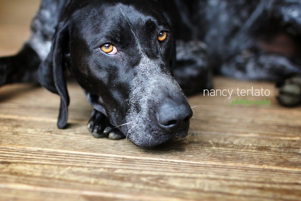 IMG_8718-002WEB